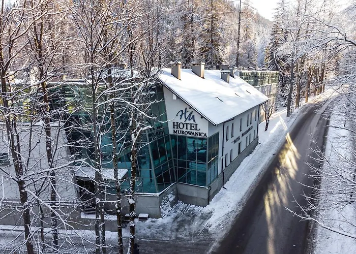 Отель Murowanica 3*